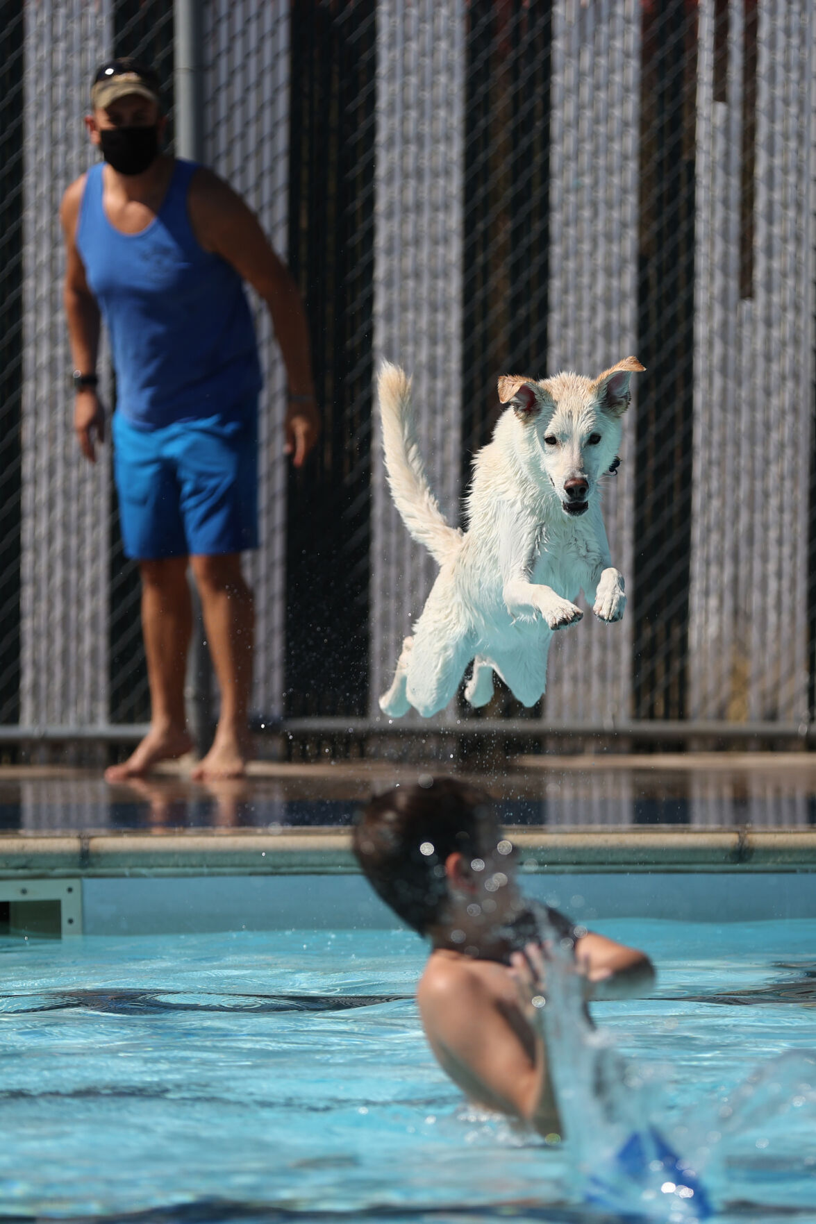 091320-news-dogsplash 12.jpg